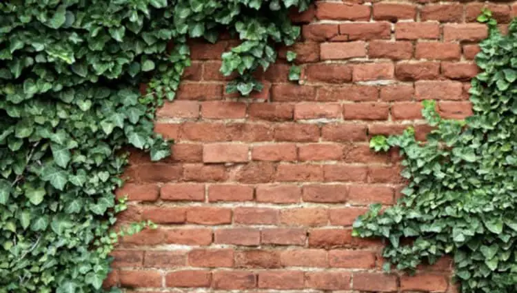 Overcome Research Brick Walls